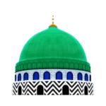 Logo of Dawateislami Digital Services android Application 